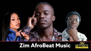 Zim AfroBeat MIXTAPE Ft Kae Chaps Winky dShashiNish TsMaster H DJ TNICE [upl. by Gian]