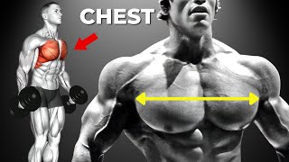 10 Most Effective Exercises to Build the PERFECT Chest [upl. by Akinahc]