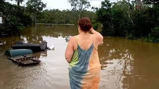 Queensland flood update at the Bremer River Karalee Ipswich [upl. by Airretal370]