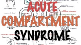 Compartment Syndrome  Overview signs and symptoms pathophysiology treatment [upl. by Nosnor949]