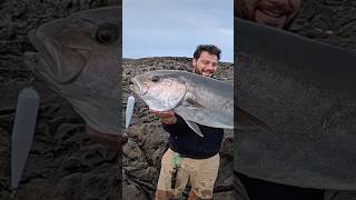 fishing tenerife pesca fisherman fish islascanarias happy spearfishing [upl. by Notled]