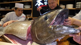 와 놀라운 녀석 무게만 150kg 얼리지 않은 생참치 해체쇼  amazing tuna 150kg raw tuna dismantling show  Korean food [upl. by Aleka]