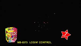 LOSIN CONTROL MB8373 [upl. by Doggett166]