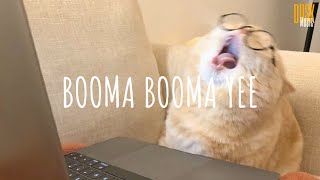 BOOMA BOOMA YEE  DJ IMUT REMIX  Vietsub  Lyric Tik Tok Song [upl. by Normie]