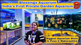 Blessings Aquarium Pune  Indias First Private Gallery Aquariums Shop Newly Open [upl. by Krusche577]