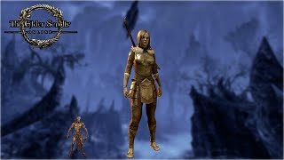 Elder Scrolls Online My Third Adventure  My Warden Joins the Fight [upl. by Tamqrah]