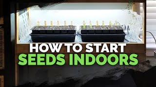 Seed Starting Indoors Under Grow Lights 101 [upl. by Ilowell]