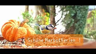 Schöne Herbstferien [upl. by Herrle]