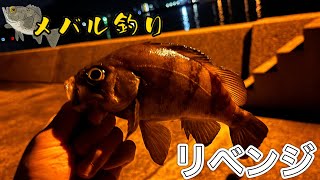 香川県のとある海でメバル釣りリベンジ [upl. by Florri]