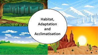 Habitat Adaptation amp Acclimatisation  Ch9  Living organisms amp their surroundingsScienceClass 6 [upl. by Sheelagh]