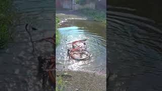 meri Babu nahane aahi he 🌦️babu cycle rider bike comedy funny music jangle animemusic [upl. by Carhart]