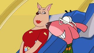 RatATat  Chotoonz Kids Cartoon Videos Lover Don [upl. by Boykins]