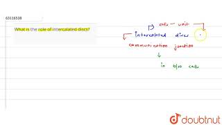 What is the role of intercalated discs [upl. by Edita]