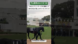 11RのスプリンターズSを優勝した西村淳也Jが鞍上のウナギノボリ🐎 ウナギノボリ うなぎ 鰻登り [upl. by Enicar]