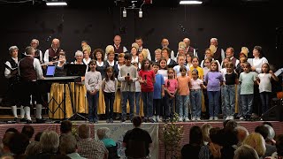 Mein Niederösterreich  Volksschulchor amp Chor und Volkstanzgruppe KremsLerchenfeld [upl. by Tiler]