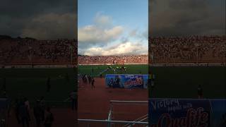 Crazy fan liberia vs Algeria football  African nations liberia shorts [upl. by Anohs]