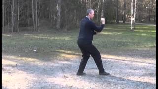 3 ways of doing Pi Quan splitting fist in Sun Style Xing Yi Quan [upl. by Ernesto]