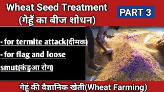 गेहूँ में दीमक और कंडुआ रोग नियंत्रण  Wheat Seed treatment Insecticides Fungicides Biofertiliser [upl. by Bullough]