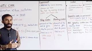 Genetic Code Fully Explained  Codon  Class 12 ll faderal 11 class [upl. by Vevay640]