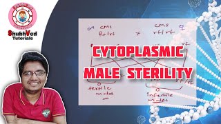 Cytoplasmic Male Sterility CMS [upl. by Nimzzaj]