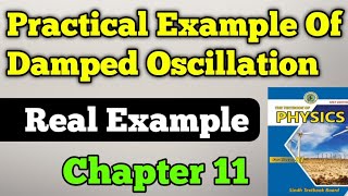 Practical example of damped oscillation Chapter 11 class 11 new physics book  damped oscillation [upl. by Assilac]