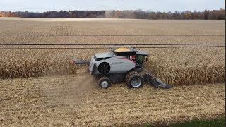 Gleaner S96 Corn Harvest In Ohio [upl. by Akeemaj361]