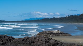 Long Beach Spring Walking Tour  Tofino British Columbia・4K HDR [upl. by Giselle]