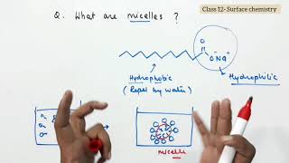 QWhat are micelles or associated colloids Class  12 Surface chemistry [upl. by Nniuq]