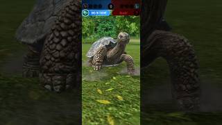 Carbonemys Animation jurassicworldalive gamewallah [upl. by Laine]