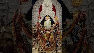 November 11 2024 quotCHANDANNAGAR JAGADHATRI PUJAquot 2024 viralvideo trending shortvideo vlog [upl. by Noedig515]