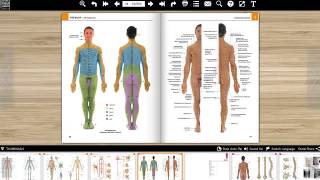 Grays atlas of anatomy 2nd edition [upl. by Idaline831]