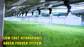 Battery Operated Hydroponic Farming System  Hydroponic GrassFodder  Hydroponic Farming Business [upl. by Ackerley945]