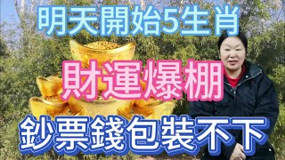 明天開始！這5大生肖！有福星庇佑！財運爆棚！天天鈔票數不完！錢包終於進大錢！ [upl. by Kitarp]