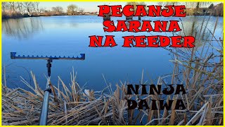 Pecanje Sarana na FEEDER metod sistem Ninja Daiwa [upl. by Ettedualc]