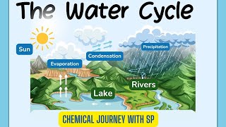 The Water Cycle water watercycle watersystem youtube chemistry facts [upl. by Abagail]