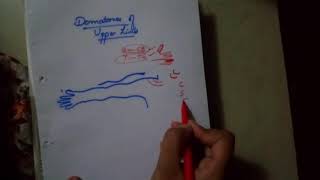 UPPER LIMB dermatomes drawing made FUN and easyanterior side [upl. by Franklyn]