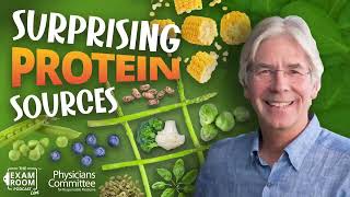 Protein In Foods You’d Least Expect  Christopher Gardner PhD on Exam Room Podcast [upl. by Yahsram]