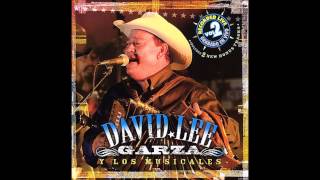 David Lee Garza y Los Musicales Vivo Enamorado De Ti [upl. by Wylie298]