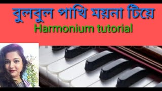 Bulbul pakhi mayna tiye harmonium tutorial [upl. by Isnan]