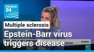 Multiple sclerosis Study finds EpsteinBarr virus triggers autoimmune disease • FRANCE 24 English [upl. by Northrop]