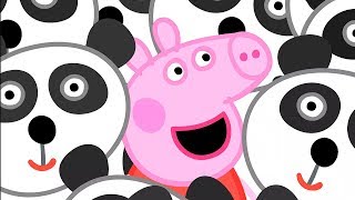 Peppa Pig Świnka Peppa po Polsku  Zabawkowa Panda  Bajki Po Polsku [upl. by Ellimaj265]