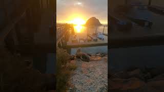 Morro Bay sunset morrobay pismobeach cayucos beach ocean seal sealion wildlife vacation [upl. by Eetsud882]