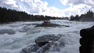 Storforsen Waterfall  Sweden [upl. by Kinnard289]