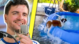 Les PIRES fails aquatiques  ce chien est innocentnon [upl. by Haroldson]