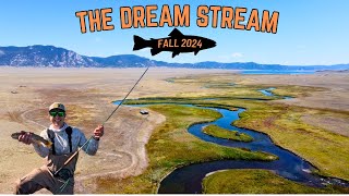 Fly Fishing the Dream Stream in Colorado  Fall 2024 [upl. by Adriaens]