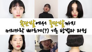 숏단발에서 중단발까지 머리카락 빠르게 기른 방법과 과정 Short cut  bob hair process [upl. by Htir336]