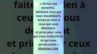 LA BIBLE✨ÉVANGILE SAINT MATTHIEU 544 [upl. by Pavla]