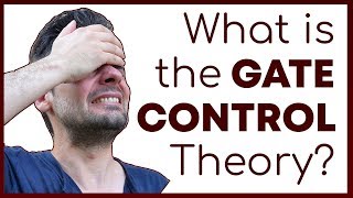 What is the Gate Control Theory of Pain  How Pain Perception Works  Corporis [upl. by Pearl]