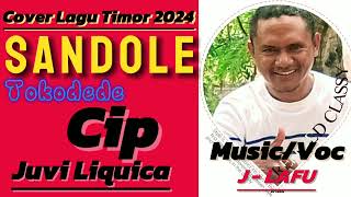 Lagu Timor Terbaru 2024SANDOLE🇹🇱🎼🎤🎹 [upl. by Blakelee]