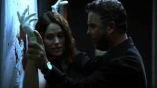 Grissom Sara Moment 4x07 [upl. by Swope634]